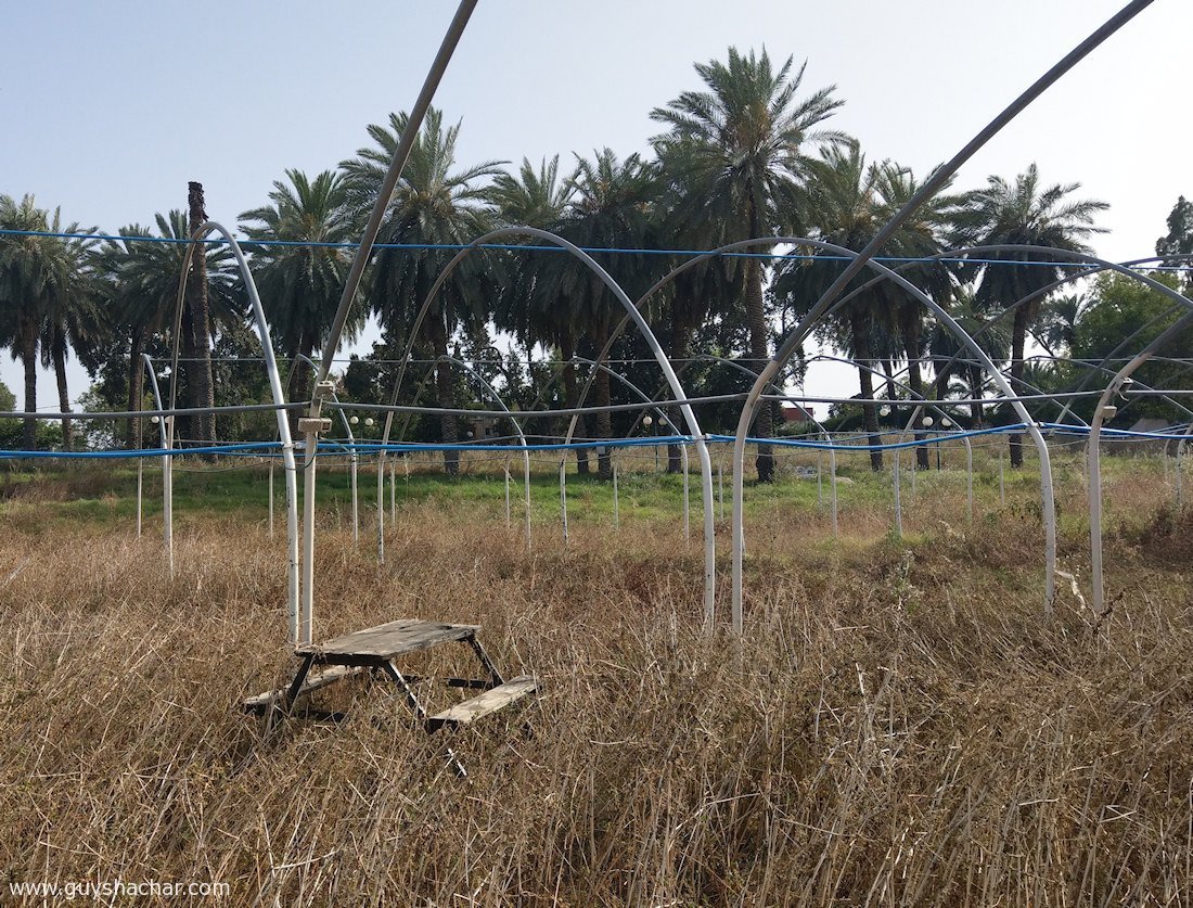 Abandoned_Tzemah_Beach_IMAG1001