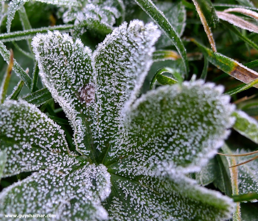 P1120905