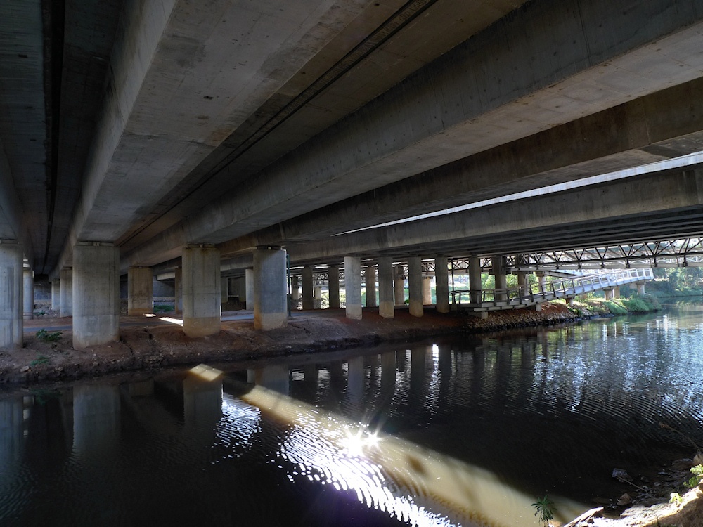 under-bridge-p1000608