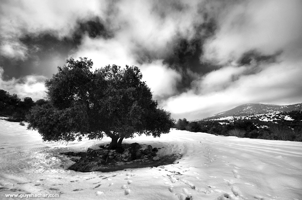 Meiron_Snow_Ice_DSC_6638s