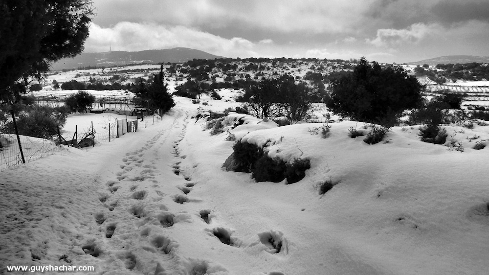 Meiron_Snow_Ice_P1230702s