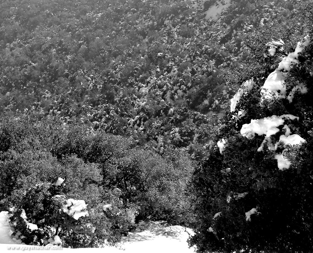Meiron_Snow_Ice_P1230756s