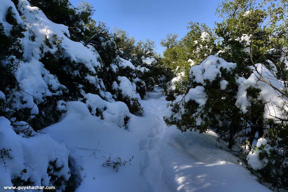 Meiron_Snow_Ice_P1230782