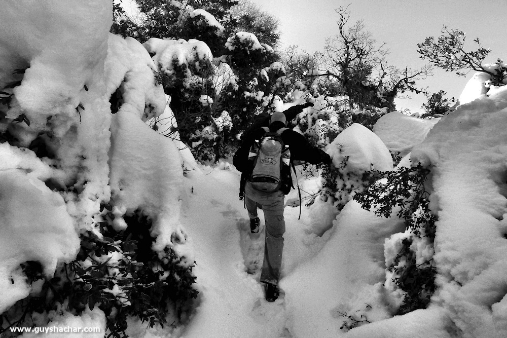 Meiron_Snow_Ice_P1230803s
