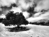 Meiron_Snow_Ice_DSC_6638s