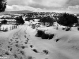 Meiron_Snow_Ice_P1230702s