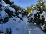 Meiron_Snow_Ice_P1230782