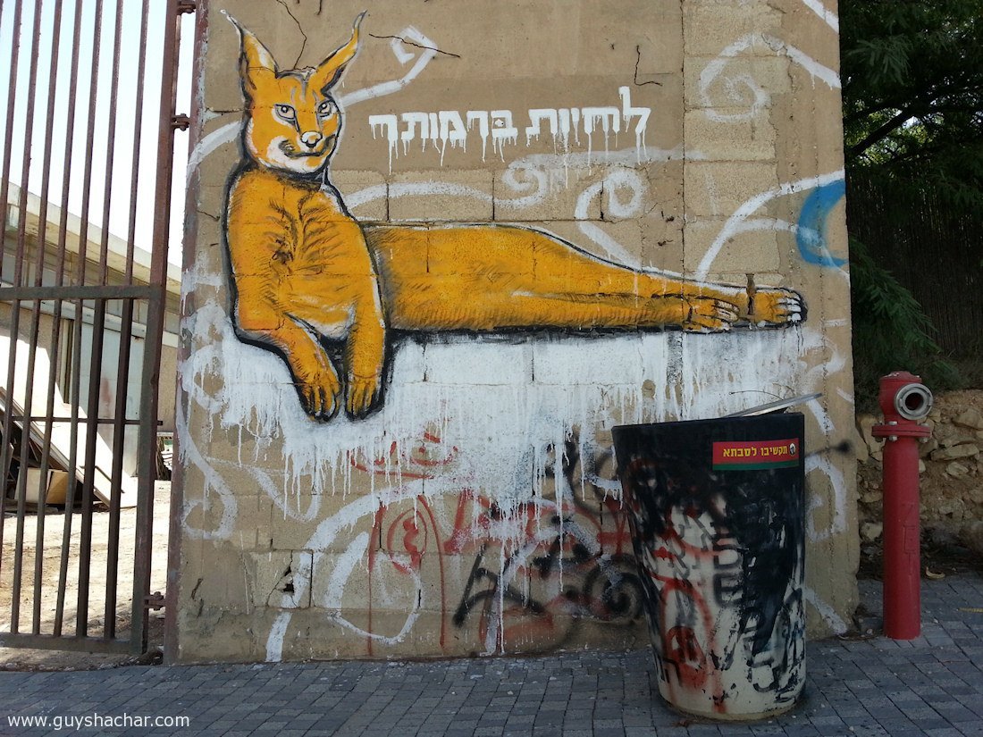 Mitzpe_Ramon_20160820_085141