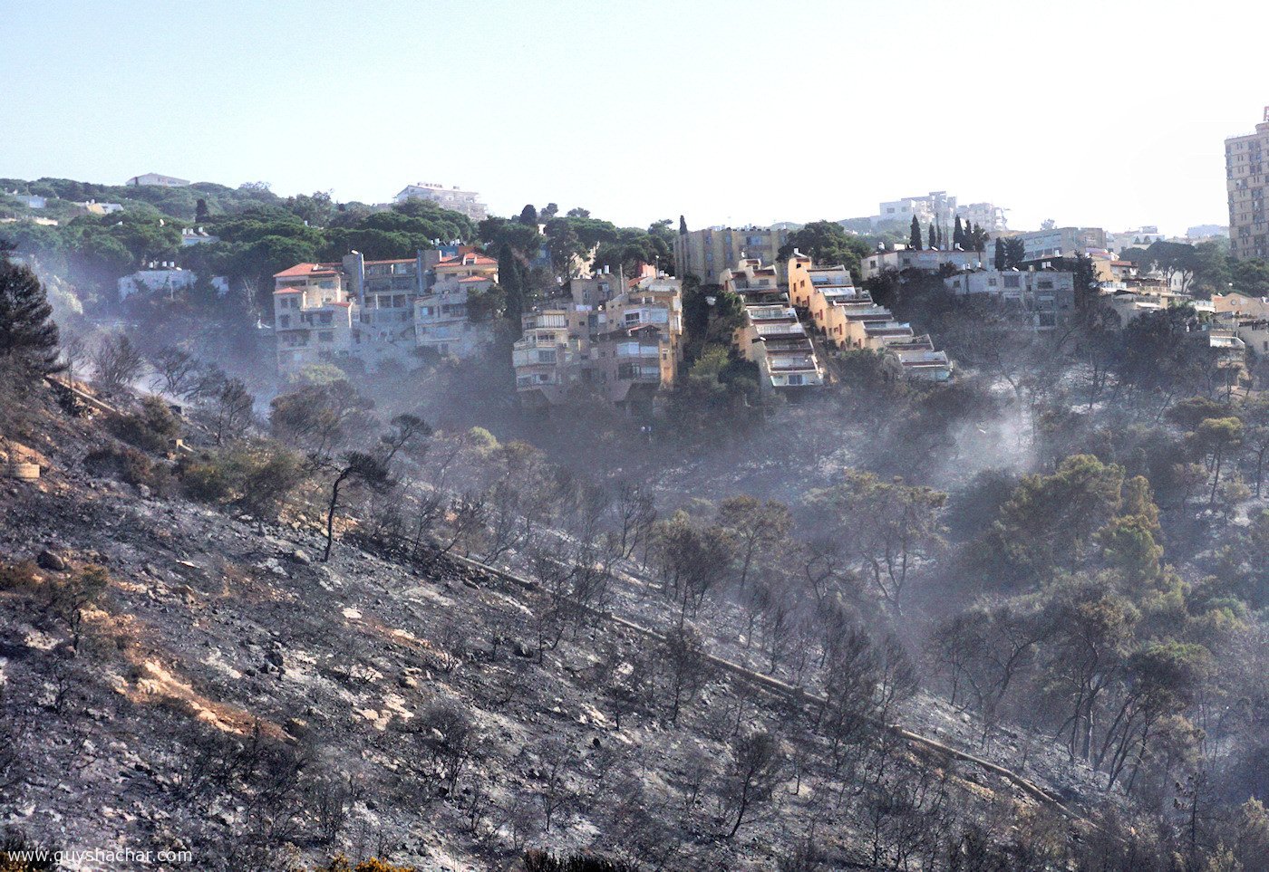 Haifa_Nahal_Ahuza_DSC00240