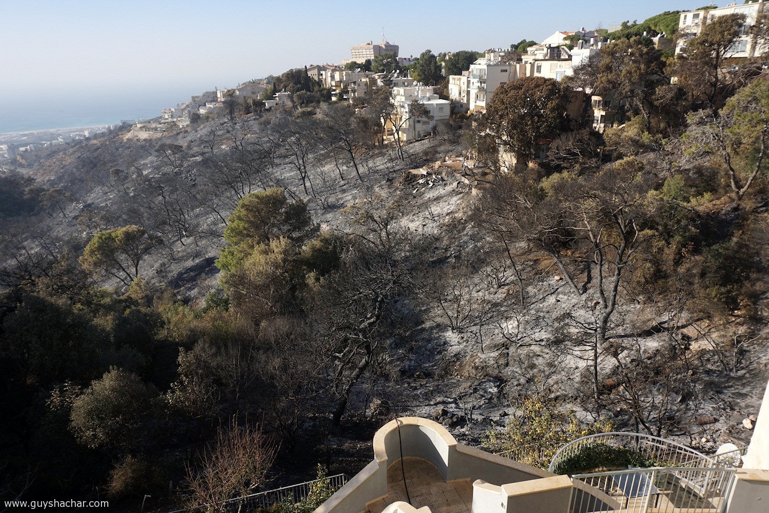 Haifa_Nahal_Ahuza_DSC00617