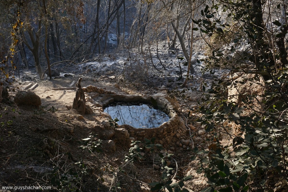 Haifa_Nahal_Ahuza_DSC00648s