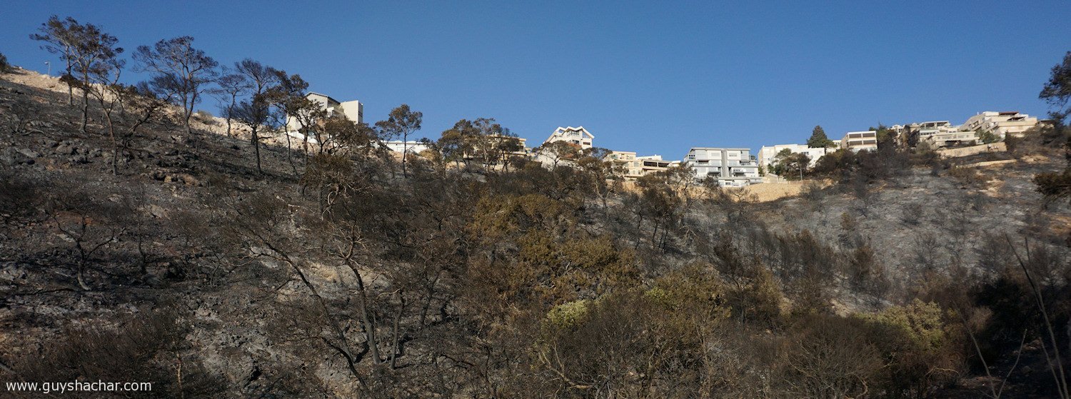 Haifa_Nahal_Ahuza_DSC00695