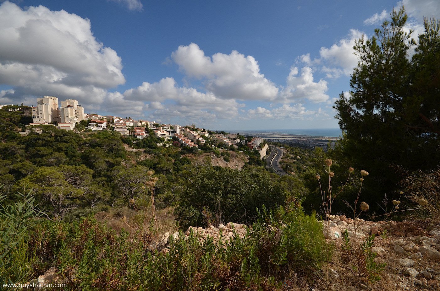 Haifa_Nahal_Ahuza_DSC_2741