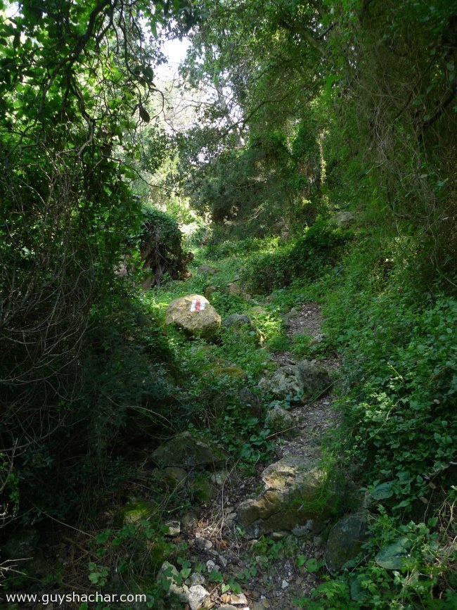 P1330856.JPG