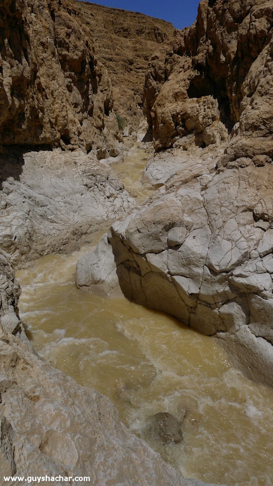 Wadi-Peres_P1180740