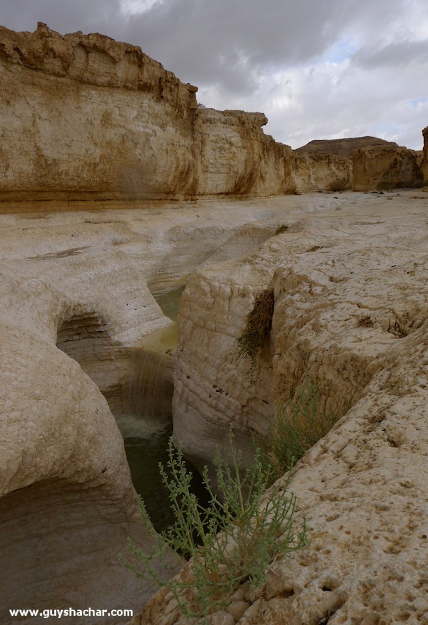 Wadi-Peres_P1180793