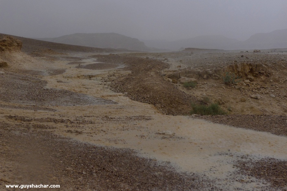 Wadi-Peres_P1180809