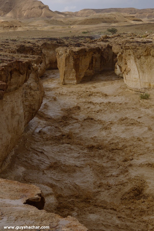 Wadi-Peres_P1180832