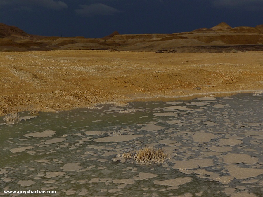 Wadi-Peres_P1180879