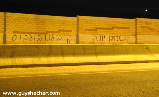 grafiti_yona_bulbul.jpg