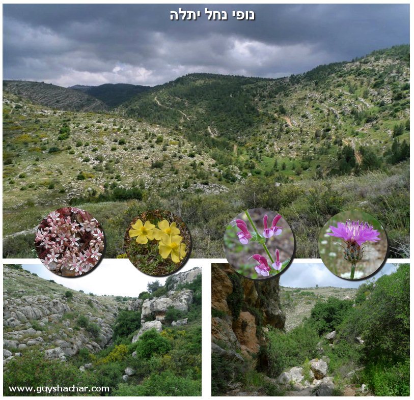 נחל יתלה מודל אפריל 2009