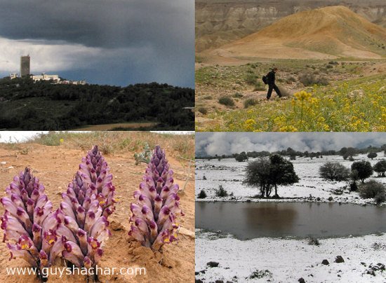 Israel_Landscapes_winter_spring_mar07.jpg