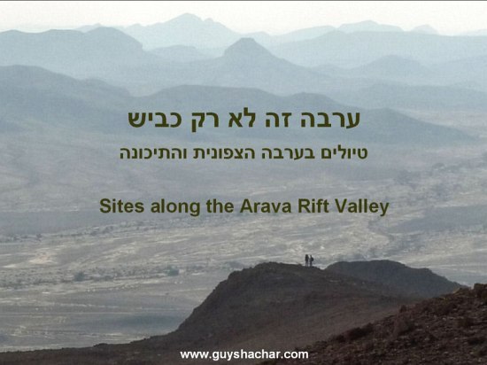 arava1.jpg