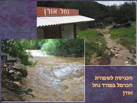 floods_carmel.jpg