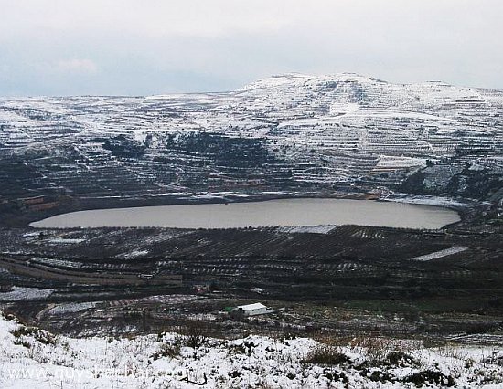 snow_golan_birket_ram_3342.jpg