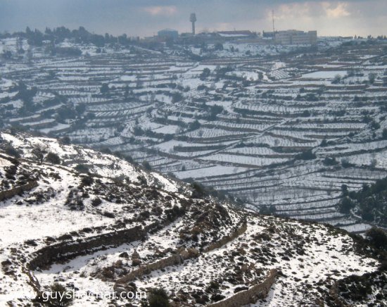 snow_gush_etzion_4228.jpg