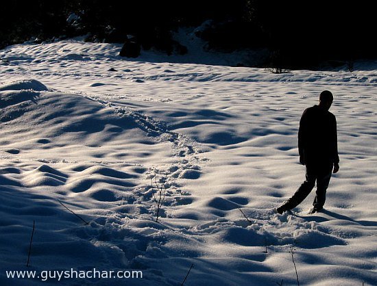 snow_hermon_4536.jpg