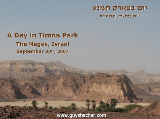 timna2.jpg