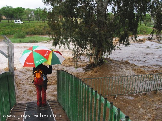 water_north_compare_flow_yarkon.jpg