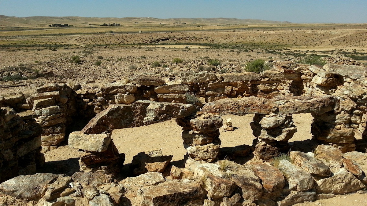 ReGreen_Negev_20160429_152729