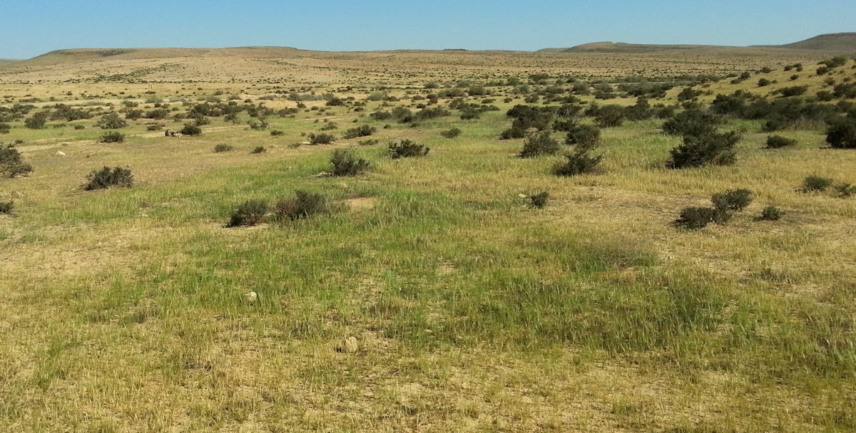 ReGreen_Negev_20160429_154044