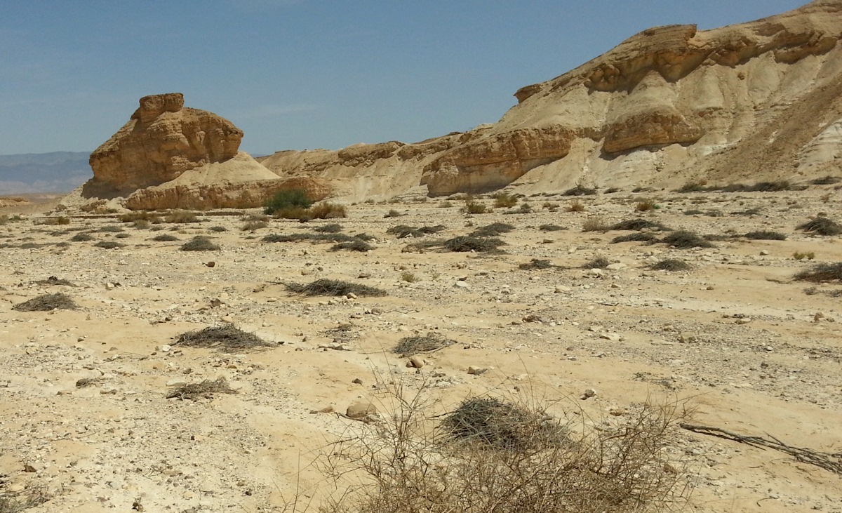 ReGreen_Negev_20160430_132338