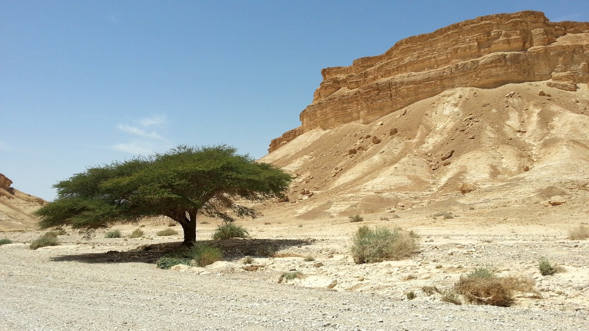 ReGreen_Negev_20160430_132803