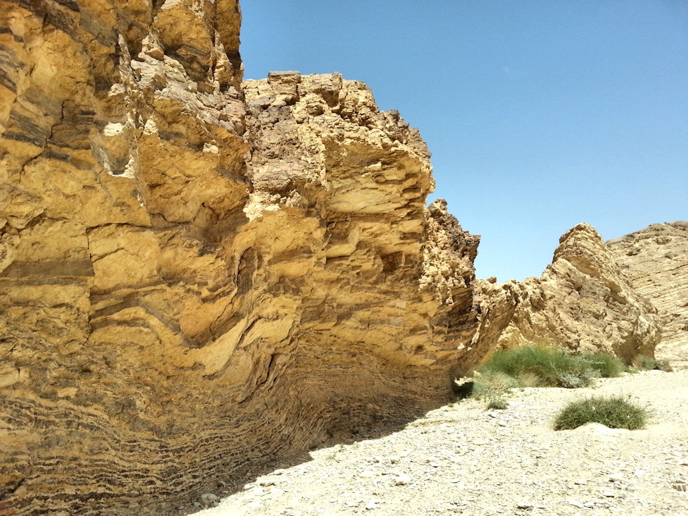 ReGreen_Negev_20160430_140819