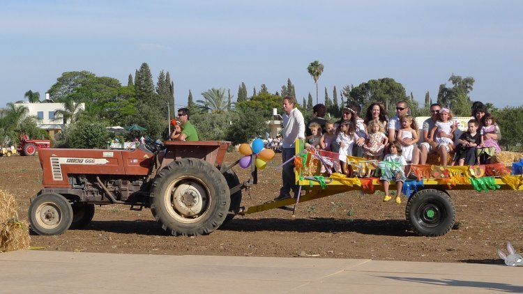 Shavuot_Shadmot_Dvora_P1380058.jpg