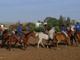 Shavuot_Shadmot_Dvora_P1380109.jpg