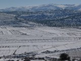 Shomron_Snow_P1140922