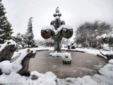 Snow_Jerusalem_9_10_Jan_2013_DSC_1035
