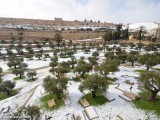 Snow_Jerusalem_9_10_Jan_2013_DSC_1186