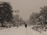 snow_jerusalem_9_10_jan_2013_p2010930bw