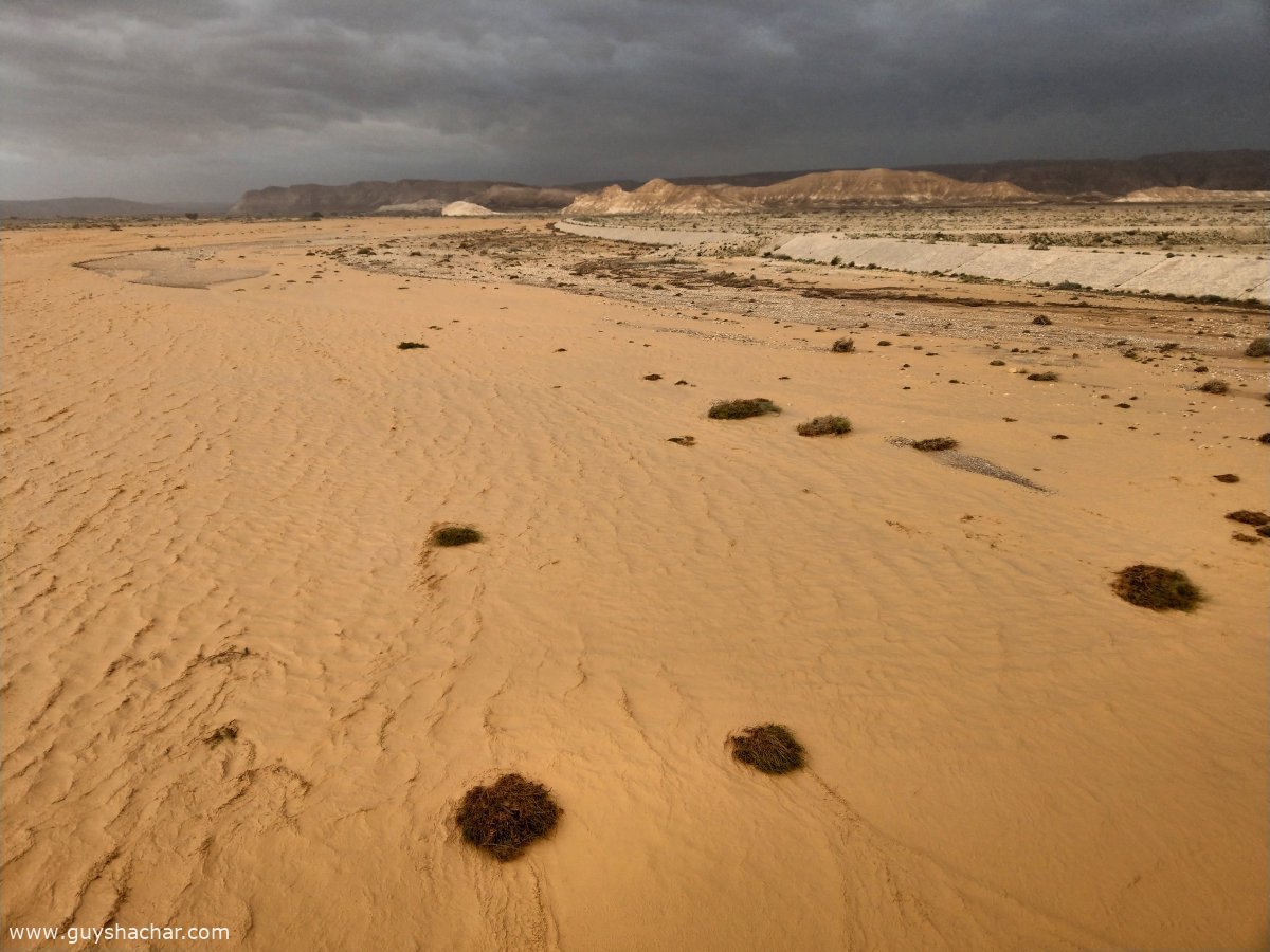 Wadi_Paran_Road_90_IMAG7836