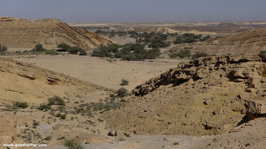 P1180568