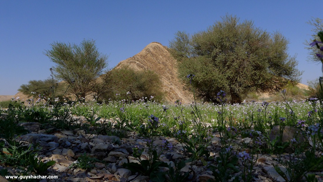 P1180576