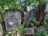 Suceava_Romania_Jewish_Cemetery_-P1680705.jpg