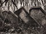 Suceava_Romania_Jewish_Cemetery_-P1680724.jpg