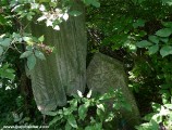Suceava_Romania_Jewish_Cemetery_-P1680737.jpg